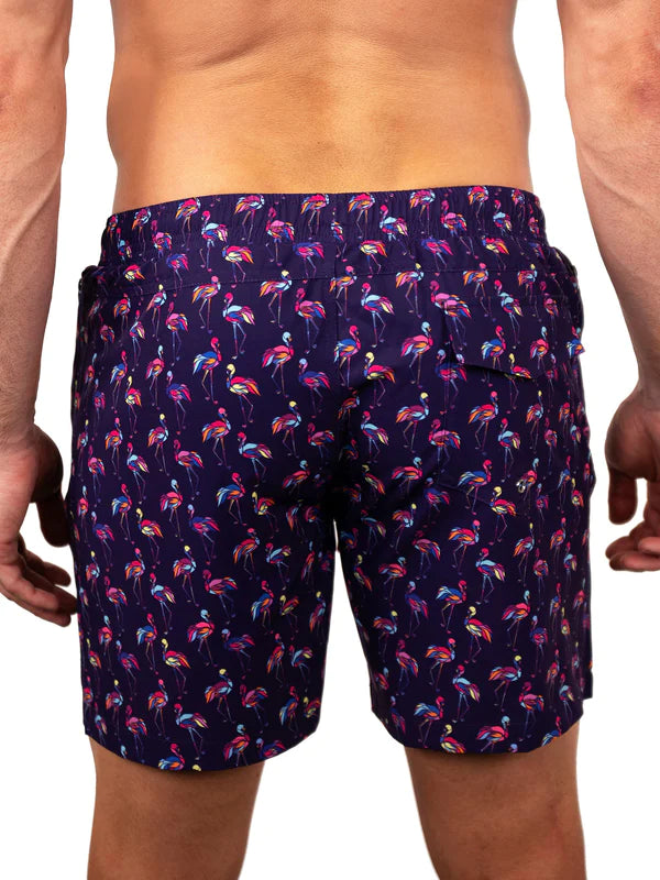 Bañador León Flamingi - Púrpura